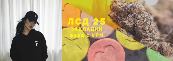 PSILOCYBIN Верея