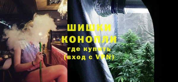 PSILOCYBIN Верея