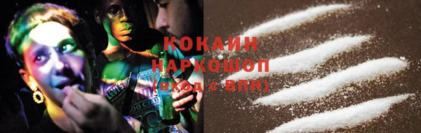 PSILOCYBIN Верея